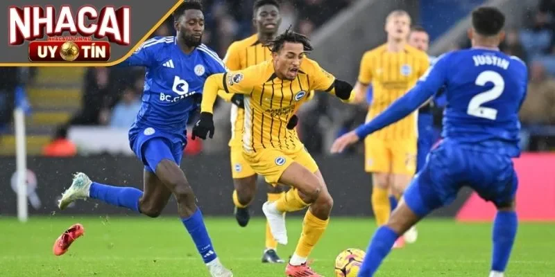 Soi Kèo Trận Đấu Leicester City - Brighton & Hove Albion 2 Đội hình dự kiến